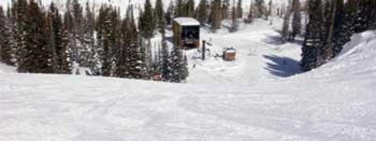 Dad Zoom High Speed Quad Lift!