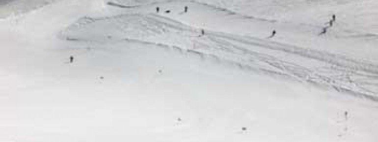 "Junior Powder Paradise"