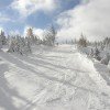 Winterwonderland