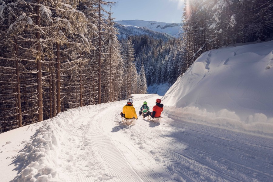 Die neue Rodelbahn in Pertisau: vom Zwölferkopf geht es auf 4,8 km ins Tal hinunter.