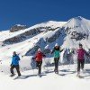 Schneeschuhtour auf dem Hochplateau der Engstligenalp