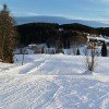 Insgesamt drei Schlepplifte gibt es im niederösterreichischen Skigebiet Aichelberglifte in Karlstift.