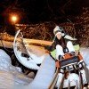 2,8 Kilometer lang ist die Fahrt mit dem Alpsee Coaster, der längsten Allwetterrodelbahn Deutschlands.