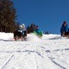 Rodelspaß auf zwei Naturrodelbahnen.