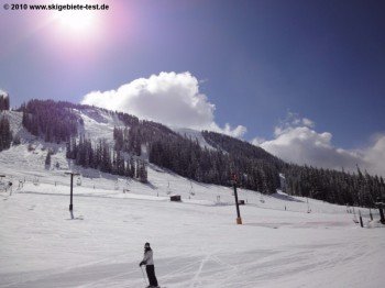 Die sehr einfachen Abfahrten am Molly Hogan Lift sind auch für ungeübte Skifahrer geeignet.