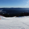 Oberhalb der Gondelbahn-Bergstation kann zwischen dem Osthang und der FIS-Weltcupabfahrt gewählt werden.
