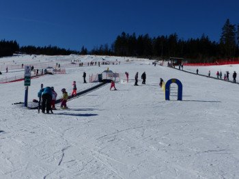Der Family-Cross-Park befindet sich oberhalb des ArBär-Kinderlandes.