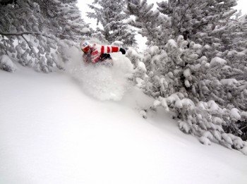 © www.arizonasnowbowl.com