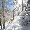 Treeskiing in Beaver Creek.