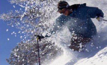 © www.skithebeav.com