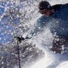 © www.skithebeav.com