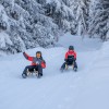 Die sechs Kilometer lange Rodelbahn in See zählt zu den schönsten der Region.