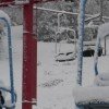 © www.skibluemt.com