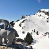 Blick ins Skigebiet Brauneck