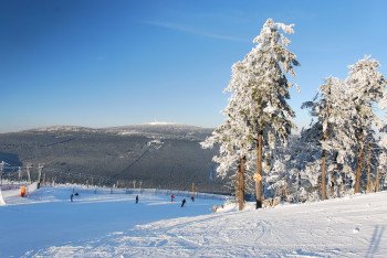 Blick auf den Nordhang, im Hintergrund der Brocken