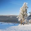 Blick auf den Nordhang, im Hintergrund der Brocken