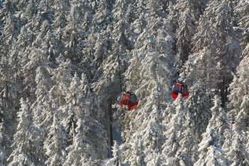 Die Wurmbergseilbahn im Winterwald