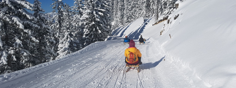 Die Rodelbahn ist 6 Kilometer lang.