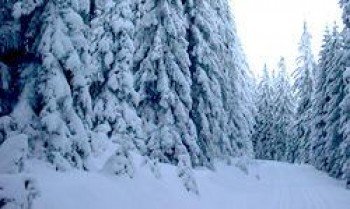 Die verschneite Winterlandschaft in Clausthal-Zellerfeld