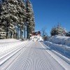 Frisch präparierte Loipen