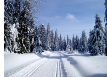 Langlaufloipen in Carlsfeld