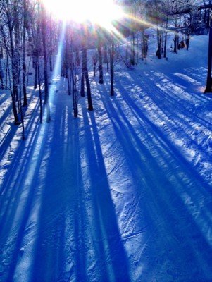 © www.cataloochee.com