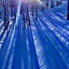 © www.cataloochee.com