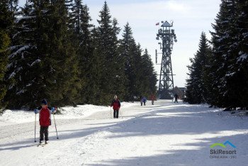 Auch Langlauf ist möglich