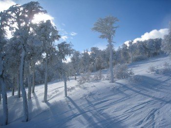 Genieße das Skifahren oder Snowboarden in der verschneiten Winterlandschaft.