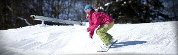 © www.chestnutmtn.com