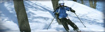© www.chestnutmtn.com