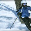 © www.chestnutmtn.com