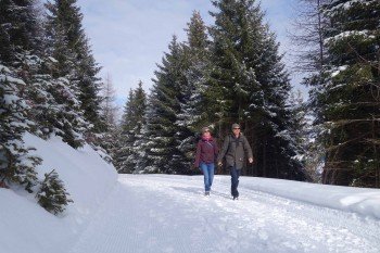 Winterwanderung Edelweiss Rundgang