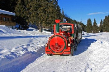 Tschu-Tschu-Bahn