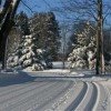 www.crystalmountain.com