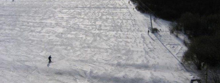 Ein Doppelschlepplift bringt Wintersportfreunde auf den Mäuseberg (550m).