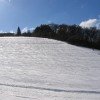 Am Mäuseberg in Daun kann man auf den 0,5 präparierten Pistenkilometern die Hüfte schwingen und Gaudi haben.