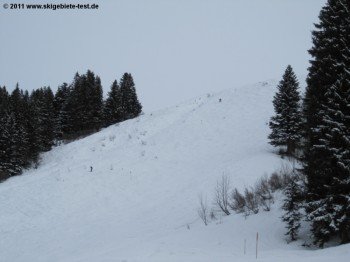 Blick auf die Buckelpiste (Skiroute 3)!