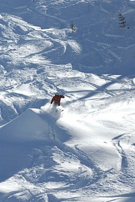 © www.dodgeridge.com