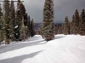 Durango Mountain Resort bietet viele einfache Waldabfahrten und ist somit eines der familienfreundlichsten Gebiete Colorados.