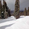Durango Mountain Resort bietet viele einfache Waldabfahrten und ist somit eines der familienfreundlichsten Gebiete Colorados.