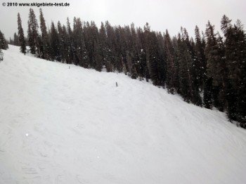 Blick vom Grizzly Lift auf die schwarze Wapiti Abfahrt!