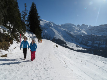 Für Spaziergang geeignet ist der Panoramaweg auf der Ridialalp.