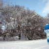 Ausgangpunkt für die Loipen im Langlaufzentrum am Ernstberg ist die Skihütte "Auf der Wacht".