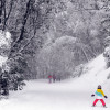Kids lernen in der Skischule das ABC des Wintersports.