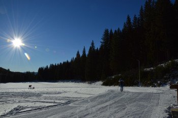 Langlaufloipen in Mariapfarr