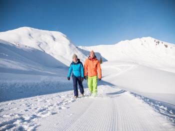 Winterwandern
