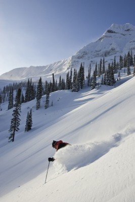 ©www.skifernie.com