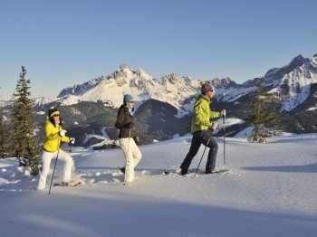 Wie wäre es mit einer Schneeschuhwanderung?