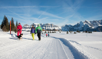 Winterwandern